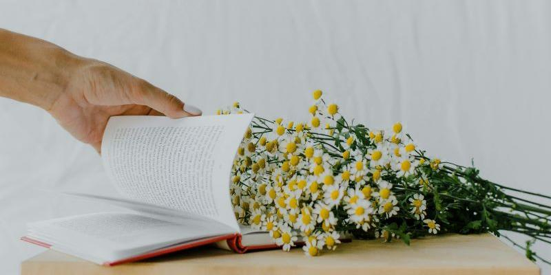 Una hoja de esperanza para ayudar a las familias necesitadas que acompaña Cáritas Diocesana de Madrid