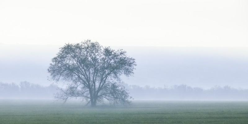 La Fundación CLE presenta un Posgrado en Educación Clásica y Humanidades