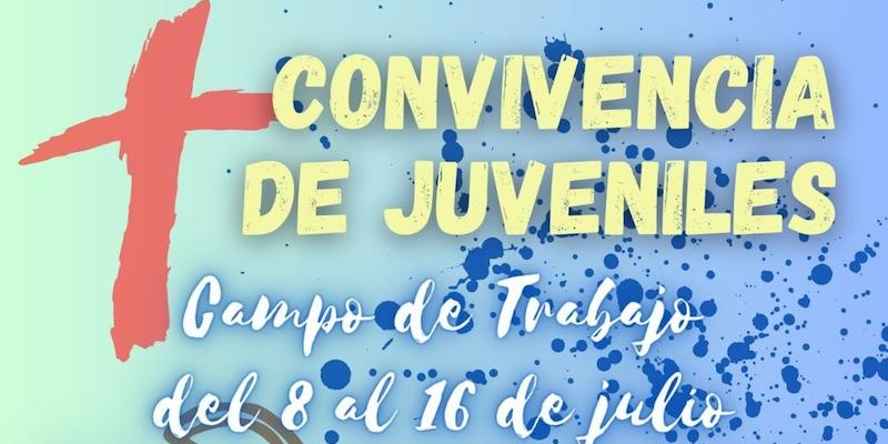 Nuestra Señora de los Desamparados y San Lucas realiza en julio un campo de trabajo con juveniles