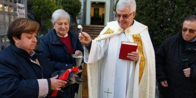 Santo Niño de Cebú celebra la fiesta de san Antonio Abad con bendición de mascotas