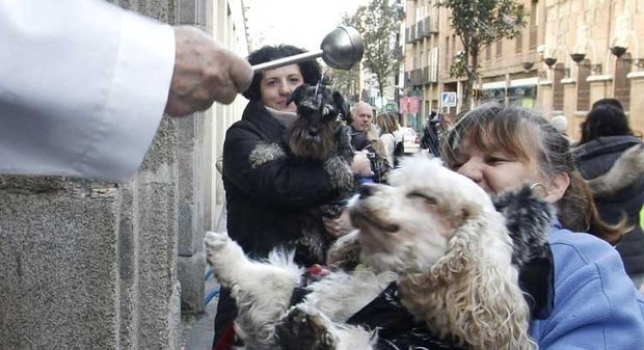 La Iglesia de san Antón se prepara para la tradicional bendición de animales