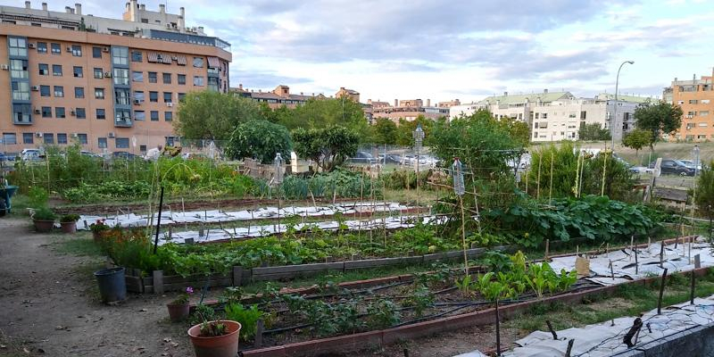 Nuestra Señora de Las Rosas, una parroquia comprometida con la ecología integral
