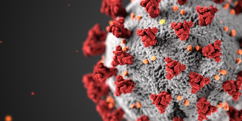 La Familia Vicenciana llama a sus miembros a colaborar para acabar con la pandemia del COVID-19