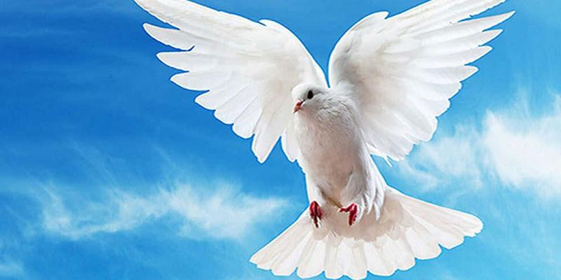 San Valentín y San Casimiro de Vicálvaro invita a rezar por la paz durante el tiempo litúrgico cuaresmal