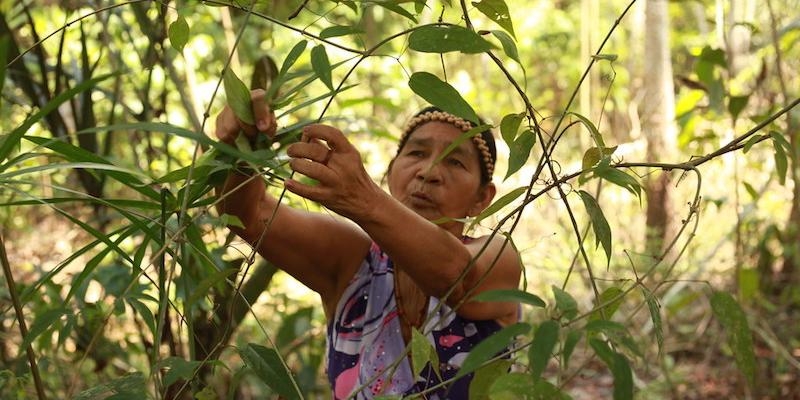Mensaje de Cáritas Internacional: Cuidado del medio ambiente, justicia social y derechos humanos para proteger a las personas más vulnerables al cambio climático